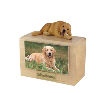 Wooden Pet Urn with Golden Retriever Chewing Bone Figurine & 3.5x5 Inches Photo Holder