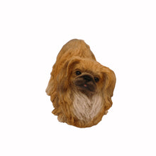 Urna de madera para mascotas con figura de border terrier sentado y portafotos de 8,9 x 12,7 cm