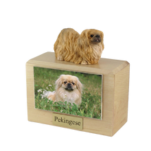 Urna de madera para mascotas con figura de border terrier sentado y portafotos de 10 x 15 cm