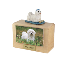 Wooden Pet Urn with White Maltese with Blue Bows Standing Figurine & 3.5x5 Inches Photo Holder