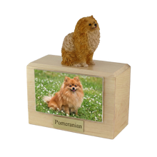 Urna de madera para mascotas con figura de border terrier sentado y portafotos de 8,9 x 12,7 cm