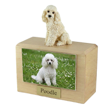 Urna de madera para mascotas con figura de caniche blanco sentado y portafotos de 10 x 15 cm