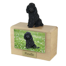 Urna de madera para mascotas con figura de caniche negro sentado y portafotos de 10 x 15 cm