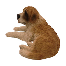 Urna de madera para mascotas con figura de San Bernardo acostado y portafotos de 10 x 15 cm