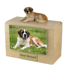 Urna de madera para mascotas con figura de San Bernardo acostado y portafotos de 10 x 15 cm