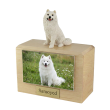 Urna de madera para mascotas con figura de samoyedo sentado y portafotos de 10 x 15 cm