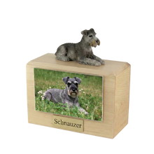 Urna de madera para mascotas con figura de Schnauzer negro y plateado en reposo y portafotos de 10 x 15 cm