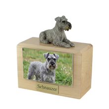 Urna de madera para mascotas con figura de Schnauzer plateado con orejas hacia abajo y portafotos de 10 x 15 cm