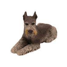 Urna de madera para mascotas con figura de Schnauzer negro y plateado con orejas hacia arriba y portafotos de 4 x 6 pulgadas