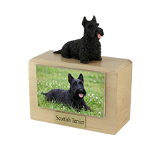 Urna de madera para mascotas con figura de terrier escocés sentado y portafotos de 10 x 15 cm