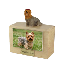 Urna de madera para mascotas con figura de terrier escocés sentado y portafotos de 10 x 15 cm