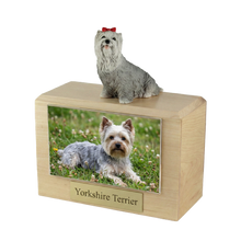 Urna de madera para mascotas con figura de terrier escocés sentado y portafotos de 10 x 15 cm