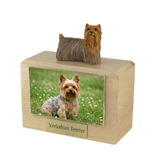 Urna de madera para mascotas con figura de terrier escocés sentado y portafotos de 10 x 15 cm