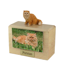 Wooden Pet Urn with Sitting Orange Persian Figurine & 3.5x5 Inches Photo Holder