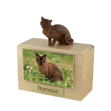 Wooden Pet Urn with Sitting Burmese Himalayan Figurine & 4x6 Inches Photo Holder