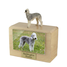 Wooden Pet Urn with Standing Gray Bedlington Terrier Figurine & 4x6 Inches Photo Holder
