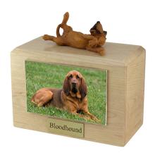 Wooden Pet Urn with Lying Down Playful Bloodhound Figurine & 4x6 Inches Photo Holder