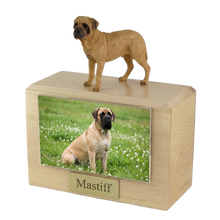 Wooden Pet Urn with Standing Fawn Bull Mastiff Figurine & 4x6 Inches Photo Holder