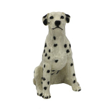 Wooden Pet Urn with Looking Up Dalmatian Figurine & 3.5x5 Inches Photo Holder