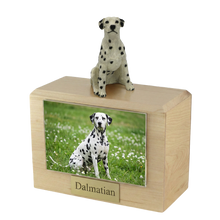 Wooden Pet Urn with Looking Up Dalmatian Figurine & 4x6 Inches Photo Holder