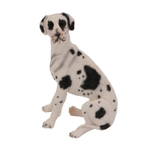 Wooden Pet Urn with Sitting Harlequin Great Dane Ears-Down Figurine & 4x6 Inches Photo Holder