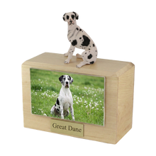 Wooden Pet Urn with Sitting Harlequin Great Dane Ears-Down Figurine & 4x6 Inches Photo Holder