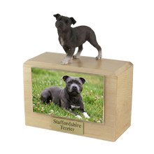Wooden Pet Urn with Standing Black Staffordshire Terrier Figurine & 4x6 Inches Photo Holder