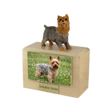 Wooden Pet Urn with Standing Yorkshire Terrier Tongue Out Figurine & 4x6 Inches Photo Holder