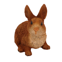 Wooden Pet Urn with Sitting Brown and White Rabbit Figurine & 4x6 Inches Photo Holder