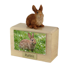 Wooden Pet Urn with Sitting Brown and White Rabbit Figurine & 4x6 Inches Photo Holder