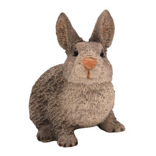 Wooden Pet Urn with Sitting Gray Rabbit Figurine & 4x6 Inches Photo Holder
