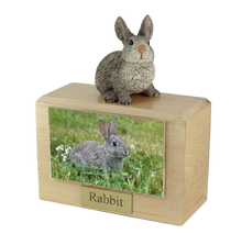 Wooden Pet Urn with Sitting Gray Rabbit Figurine & 4x6 Inches Photo Holder