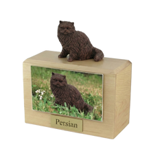 Wooden Pet Urn with Sitting Bronze Persian Figurine & 4x6 Inches Photo Holder