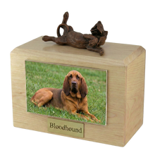 Wooden Pet Urn with Lying Down Playful Bronze Bloodhound Figurine & 4x6 Inches Photo Holder