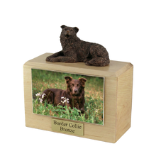 Wooden Pet Urn with Lying Down Bronze Border Collie Figurine & 4x6 Inches Photo Holder