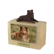 Wooden Pet Urn with Lying Down Bronze Collie Figurine & 4x6 Inches Photo Holder