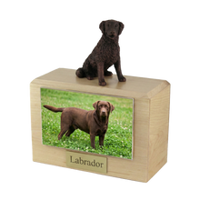 Wooden Pet Urn with Sitting Bronze Labrador Figurine & 4x6 Inches Photo Holder