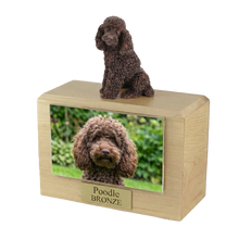 Wooden Pet Urn with Sitting Bronze Poodle Figurine & 4x6 Inches Photo Holder