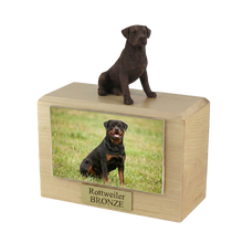 Wooden Pet Urn with Sitting Bronze Rottweiler Figurine & 4x6 Inches Photo Holder