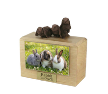 Wooden Pet Urn w/ Bronze Three Rabbits Side by Side Figurine & 3.5x5 Inches Photo Holder