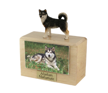 Wooden Pet Urn with Standing Alaskan Malamute Figurine & 4x6 Inches Photo Holder