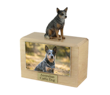 Wooden Pet Urn with Sitting Blue and Gray Australian Cattle Dog Figurine & 4x6 Inches Photo Holder