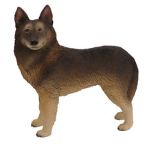 Wooden Pet Urn with Standing Belgian Tervuren Figurine & 4x6 Inches Photo Holder