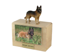 Wooden Pet Urn with Standing Belgian Tervuren Figurine & 4x6 Inches Photo Holder