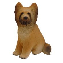 Wooden Pet Urn with Sitting Briard Figurine & 4x6 Inches Photo Holder