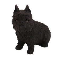 Wooden Pet Urn with Sitting Black Brussels Griffon Figurine & 4x6 Inches Photo Holder
