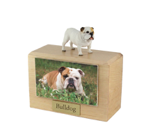 Wooden Pet Urn with Standing White Bulldog Figurine & 4x6 Inches Photo Holder