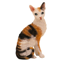 Wooden Pet Urn with Sitting Tortoiseshell and White Cornish Rex Figurine & 4x6 Inches Photo Holder