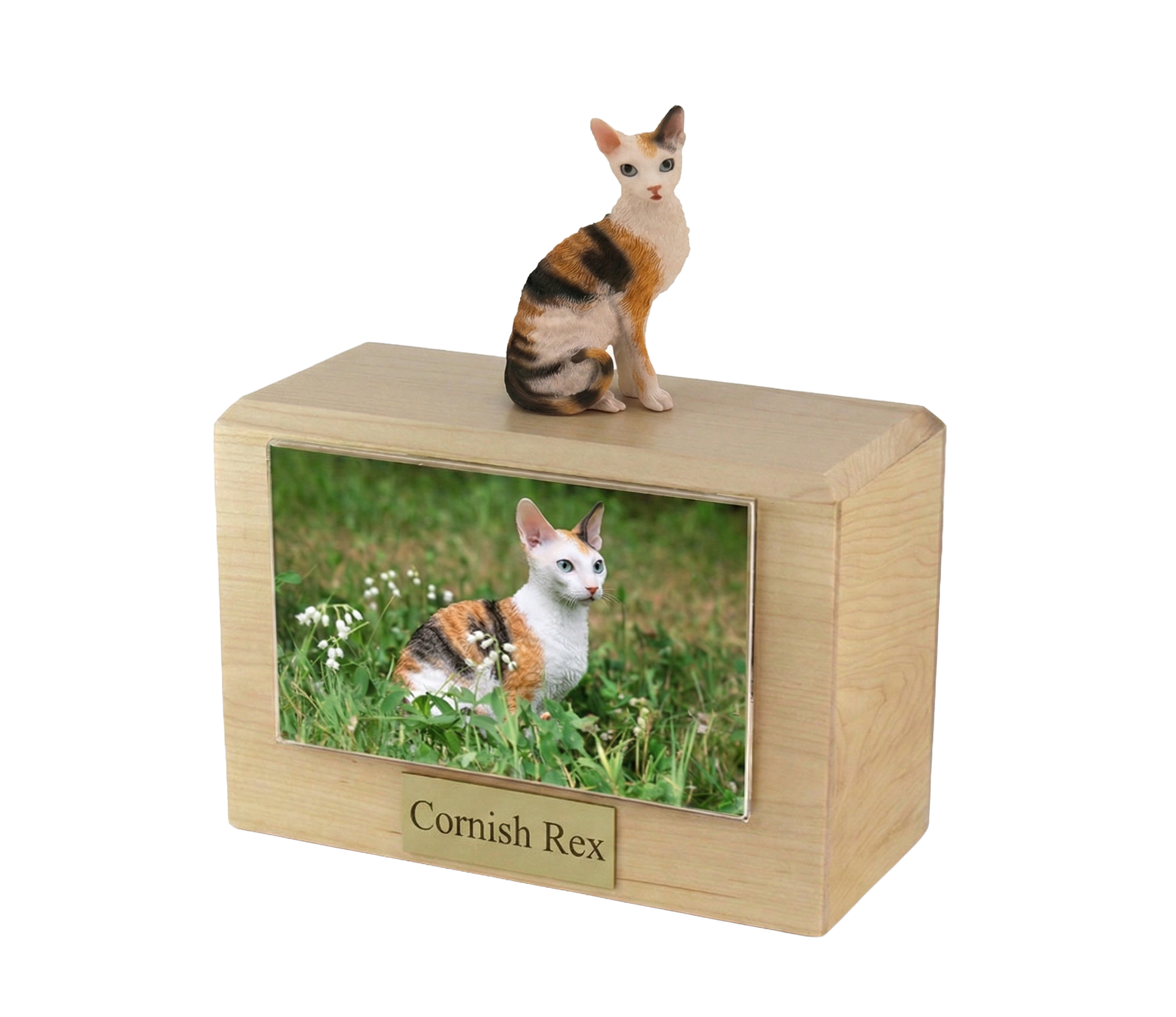 Wooden Pet Urn with Sitting Tortoiseshell and White Cornish Rex Figuri ...