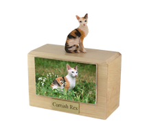 Wooden Pet Urn with Sitting Tortoiseshell and White Cornish Rex Figurine & 4x6 Inches Photo Holder